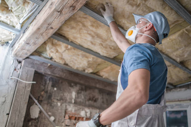 Best Insulation for New Construction  in Hampton Manor, NY