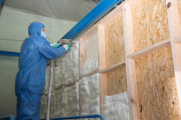 Best Spray Foam Insulation  in Hampton Manor, NY