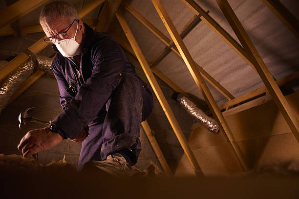 Best Insulation Contractors for Homes  in Hampton Manor, NY