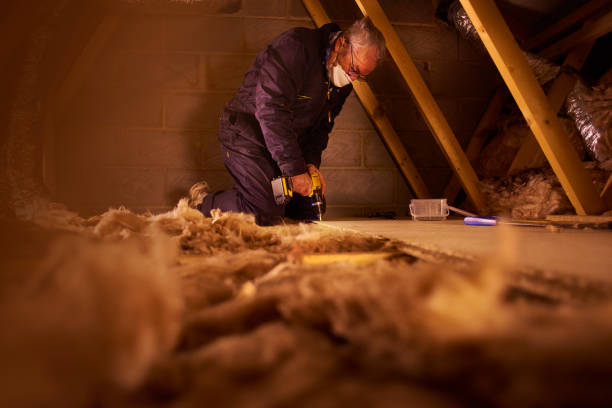 Best Professional Insulation Contractor  in Hampton Manor, NY